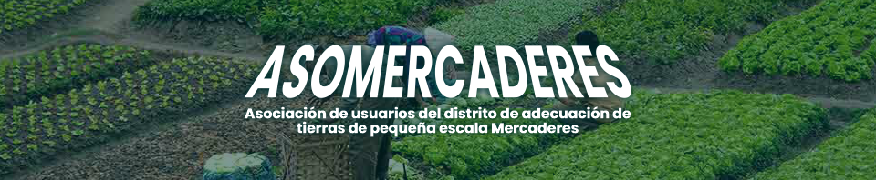 Asomercaderes